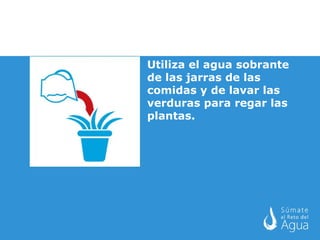 Utiliza el agua sobrante de las jarras de las comidas y de lavar las verduras para regar las plantas.