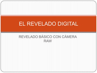 REVELADO BÁSICO CON CÁMERA RAW EL REVELADO DIGITAL 