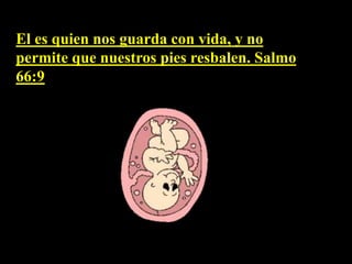 El es quien nos guarda con vida, y no
permite que nuestros pies resbalen. Salmo
66:9
 
