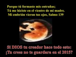 Porque tú formaste mis entrañas;
Tú me hiciste en el vientre de mi madre.
Mi embrión vieron tus ojos, Salmo 139
 