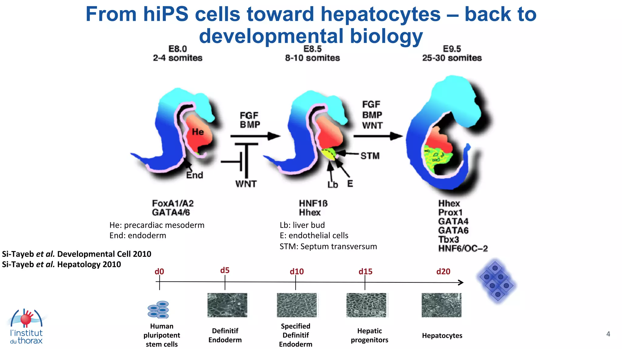 3D innovative hiPSC-based models including the microenvironment for ...