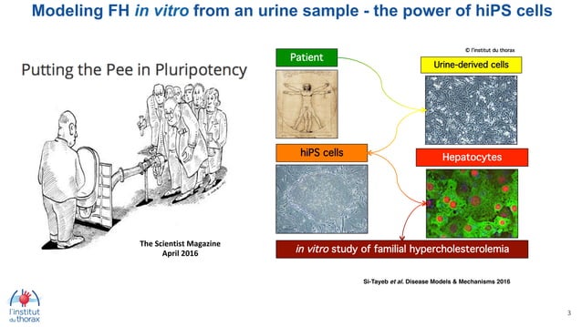 3D innovative hiPSC-based models including the microenvironment for ...