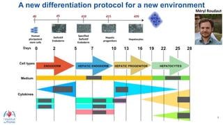 3D innovative hiPSC-based models including the microenvironment for ...