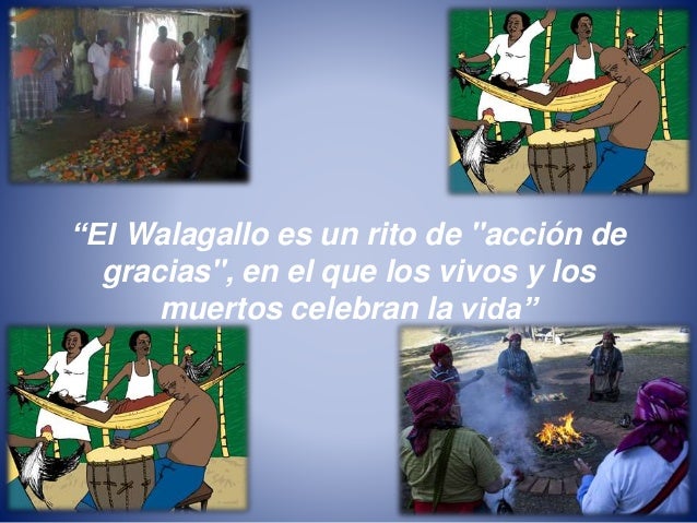 Resultado de imagen para Walagallo