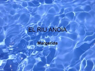 EL RIU ANOIA Margarida 