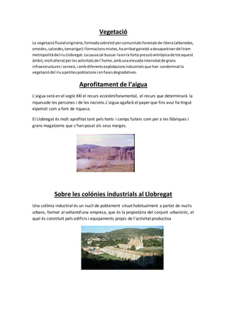 Vegetació
La vegetaciófluvialoriginària,formadasobretotpercomunitatsforestalsde ribera(alberedes,
omedes,salzedes,tamarigar) i formacionsmixtes,haarribatgairebé adesaparèixerdel tram
metropolitàdel riuLlobregat.Lacausacal buscar-laenla forta pressióantròpicade totaquest
àmbit,moltalteratperlesactivitatsde l´home,ambunaelevadaintensitatde grans
infraestructuresi serveis,i ambdiferentsexplotacionsindustrialsque han condemnatla
vegetaciódel riuapetitespoblacionsi enfasesdegradatives.
Aprofitament de l’aigua
L'aigua serà en el segle XXI el recurs econòmifonamental, el recurs que determinarà la
riquesade les persones i de les nacions.L'aigua agafarà el paper que fins avui ha tingut
elpetroli com a font de riquesa.
El Llobregat és molt aprofitat tant pels horts i camps fuiters com per a les fàbriques i
grans magatzems que s'han posat als seus marges.
Sobre les colónies industrials al Llobregat
Una colònia industrial és un nucli de poblament situat habitualment a partat de nuclis
urbans, format al voltantd'una empresa, que és la propietària del conjunt urbanístic, el
qual és constituït pels edificis i equipaments propis de l'activitat productiva
 
