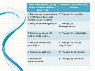PRINCIPIOS GENERALES DEL
PENSAMIENTO ARBÓREO Y
RADICULAR
PRINCIPIOS GENERALES DEL
RIZOMA
1° Principio del comienzo fijo y
la proliferación dicotómica
(Principio de auto-cierre).
1° Principio de conexión.
2° Principio de homogeneidad. 2° Principio de
heterogeneidad.
3° Principio de lo uno y lo
múltiple (todo y parte).
3° Principio de multiplicidad.
4° Principio de evolución
genealógica.
4° Principio de ruptura
asignificante.
5° Principio de grafismo. 5° Principio de cartografía.
6° Principio de
reproductibilidad.
6° Principio de calcomanía.
 