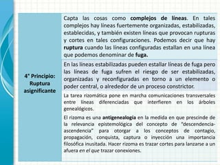 4° Principio:
Ruptura
asignificante
Capta las cosas como complejos de líneas. En tales
complejos hay líneas fuertemente organizadas, estabilizadas,
establecidas, y también existen líneas que provocan rupturas
y cortes en tales configuraciones. Podemos decir que hay
ruptura cuando las líneas configuradas estallan en una línea
que podemos denominar de fuga.
En las líneas estabilizadas pueden estallar líneas de fuga pero
las líneas de fuga sufren el riesgo de ser estabilizadas,
organizadas y reconfiguradas en torno a un elemento o
poder central, o alrededor de un proceso constrictor.
La tarea rizomática pone en marcha comunicaciones transversales
entre líneas diferenciadas que interfieren en los árboles
genealógicos.
El rizoma es una antigenealogía en la medida en que prescinde de
la relevancia epistemológica del concepto de “descendencia-
ascendencia” para otorgar a los conceptos de contagio,
propagación, conquista, captura o inyección una importancia
filosófica inusitada. Hacer rizoma es trazar cortes para lanzarse a un
afuera en el que trazar conexiones.
 