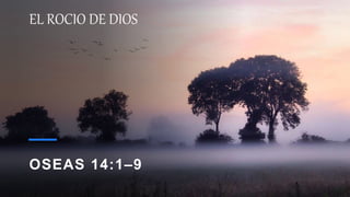 EL ROCIO DE DIOS
OSEAS 14:1–9
 