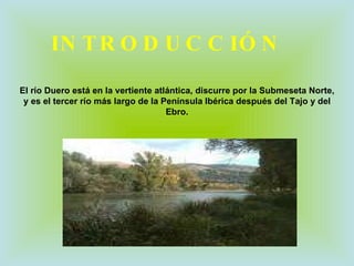El río Duero está en la vertiente atlántica, discurre por la Submeseta Norte, y  es el tercer río más largo de la Península Ibérica después del Tajo y del Ebro. INTRODUCCIÓN 