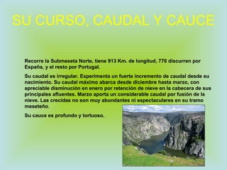 SU CURSO, CAUDAL Y CAUCE Recorre la Submeseta Norte, tiene 913 Km. de longitud, 770 discurren por España, y el resto por Portugal. Su caudal es irregular. Experimenta un fuerte incremento de caudal desde su nacimiento. Su caudal máximo abarca desde diciembre hasta marzo, con apreciable disminución en enero por retención de nieve en la cabecera de sus principales afluentes. Marzo aporta un considerable caudal por fusión de la nieve. Las crecidas no son muy abundantes ni espectaculares en su tramo meseteño . Su cauce es profundo y tortuoso. 
