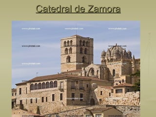 Catedral de Zamora 