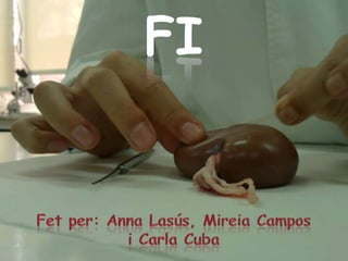 fiFet per: Anna Lasús, Mireia Campos i Carla Cuba