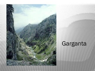 Garganta
 