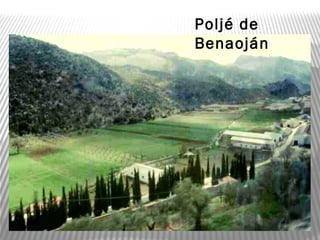 Poljé de
Benaoján
 