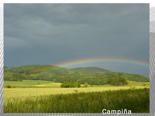 Campiña
 
