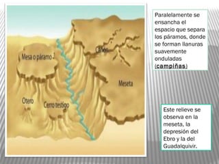 Paralelamente se
ensancha el
espacio que separa
los páramos, donde
se forman llanuras
suavemente
onduladas
(campiñas)
Este relieve se
observa en la
meseta, la
depresión del
Ebro y la del
Guadalquivir.
 