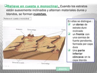 Relieve en cuesta o monoclinal. Cuando los estratos
están suavemente inclinados y alternan materiales duros y
blandos, se forman cuestas.
En ellas se distingue :
 un dorso de
estrato duro
inclinado
 un frente con
una cornisa de
fuerte pendiente,
formada por capa
dura
 Una parte
inferior
cóncava en la
capa blanda
ANAYA
 