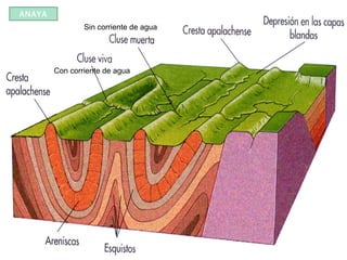 ANAYA
Con corriente de agua
Sin corriente de agua
 