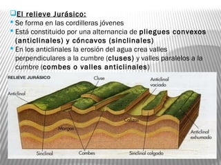 El relieve Jurásico:
 Se forma en las cordilleras jóvenes
 Está constituido por una alternancia de pliegues convexos
(anticlinales) y cóncavos (sinclinales)
 En los anticlinales la erosión del agua crea valles
perpendiculares a la cumbre (cluses) y valles paralelos a la
cumbre (combes o valles anticlinales)
 