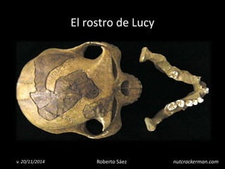 Roberto Sáez 
v. 20/11/2014 
nutcrackerman.com 
El rostro de Lucy  