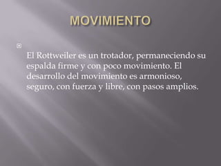 MOVIMIENTOEl Rottweiler es un trotador, permaneciendo su espalda firme y con poco movimiento. El desarrollo del movimiento es armonioso, seguro, con fuerza y libre, con pasos amplios.