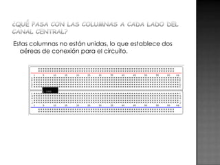 Estas columnas no están unidas, lo que establece dos
aéreas de conexión para el circuito.

 