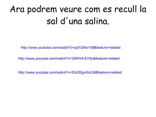 Ara podrem veure com es recull la sal d'una salina. http://www.youtube.com/watch?v=DIzO0gm0zLM&feature=related http://www.youtube.com/watch?v=pd1i2Ktv108&feature=related http://www.youtube.com/watch?v=29WV4-E7i5c&feature=related 