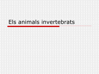 Els animals invertebrats 