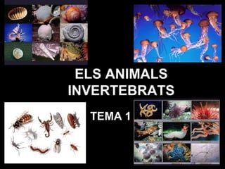 ELS ANIMALS
INVERTEBRATS
TEMA 1
 