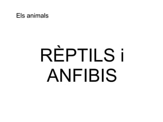 Els animals RÈPTILS i ANFIBIS 