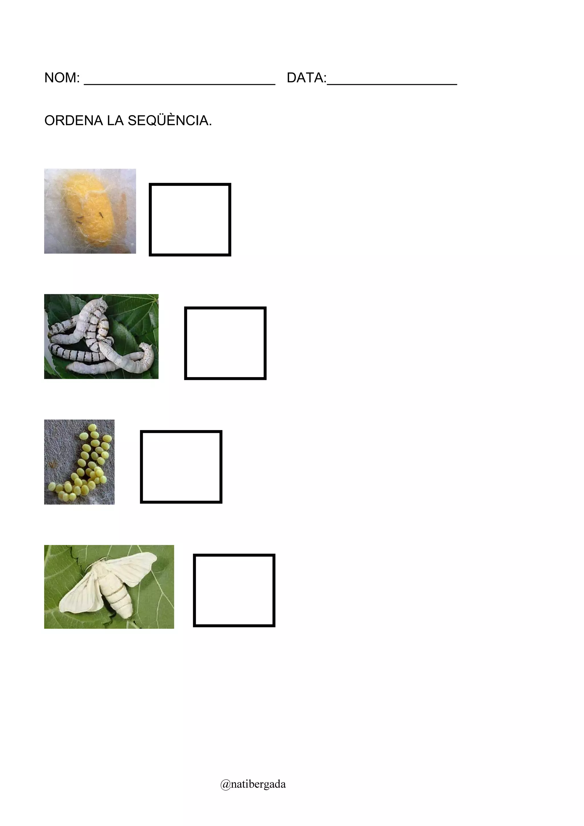 NOM: _________________________ DATA:_________________


ORDENA LA SEQÜÈNCIA.




                       @natibergada
 