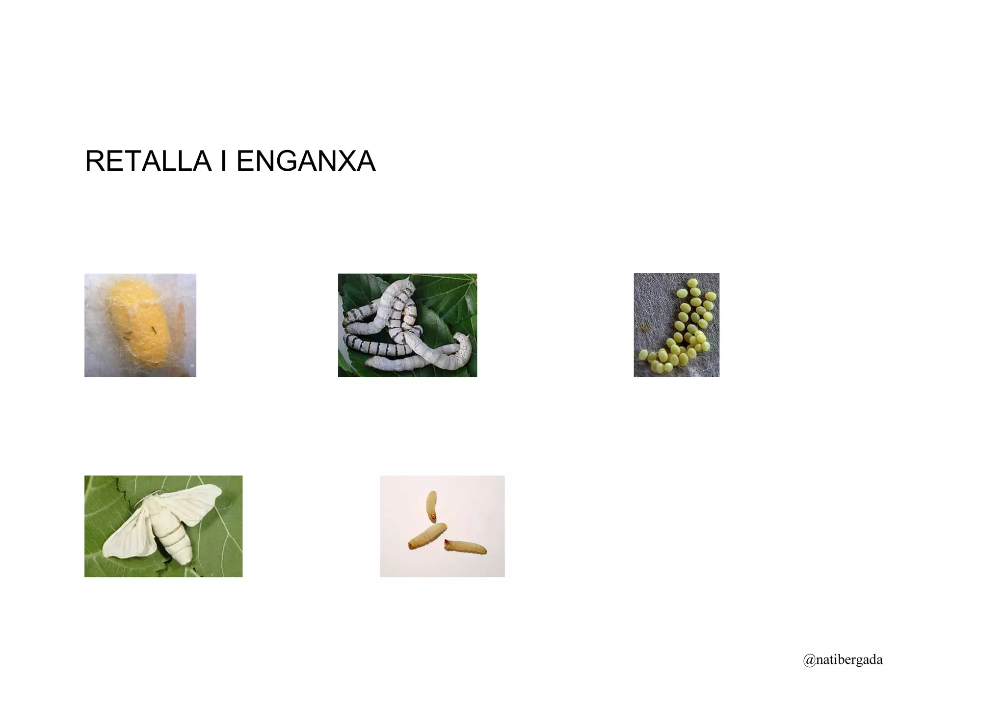 RETALLA I ENGANXA




                    @natibergada
 