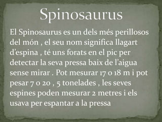 El Spinosaurus es un dels més perillosos
del món , el seu nom significa llagart
d’espina , té uns forats en el pic per
detectar la seva pressa baix de l’aigua
sense mirar . Pot mesurar 17 o 18 m i pot
pesar 7 o 20 , 5 tonelades , les seves
espines poden mesurar 2 metres i els
usava per espantar a la pressa
 