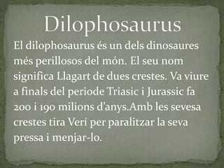 El dilophosaurus és un dels dinosaures
més perillosos del món. El seu nom
significa Llagart de dues crestes. Va viure
a finals del periode Triasic i Jurassic fa
200 i 190 milions d’anys.Amb les sevesa
crestes tira Verí per paralitzar la seva
pressa i menjar-lo.
 