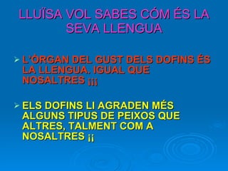 LLUÏSA VOL SABES CÓM ÉS LA SEVA LLENGUA L’ÒRGAN DEL GUST DELS DOFINS ÉS LA LLENGUA. IGUAL QUE NOSALTRES ¡¡¡ ELS DOFINS LI AGRADEN MÉS  ALGUNS TIPUS DE PEIXOS QUE ALTRES, TALMENT COM A NOSALTRES ¡¡   