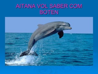 AITANA VOL SABER COM BOTEN 