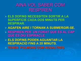 AINA VOL SABER COM RESPIREN ELS DOFINS NECESSITEN SORTIR A LA SUPERFÍCIE CADA DOS MINUTS PER RESPIRAR. AGAFEN AIRE I TORNAN A SUBMERGIR-SE . RESPIREN PER  UN FORAT QUE ÉS AL CAP  QUE ES DIU ESPIRACLE. ELS DOFINS PODEN AGUANTAR LA RESPIRACIÓ FINS A 20 MINUTS . TENEN  PULMONS COM NOSALTRES  