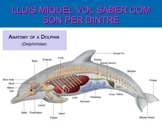 LLUÍS MIQUEL VOL SABER COM SÓN PER DINTRE 