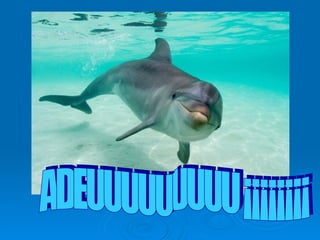 ADEUUUUUUUUU ¡¡¡¡¡¡¡¡ 