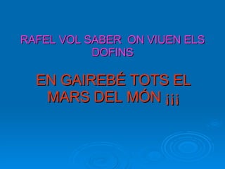 RAFEL VOL SABER  ON VIUEN ELS DOFINS EN GAIREBÉ TOTS EL MARS DEL MÓN ¡¡¡ 