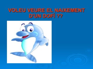 VOLEU VEURE EL NAIXEMENT D'UN DOFÍ ??   