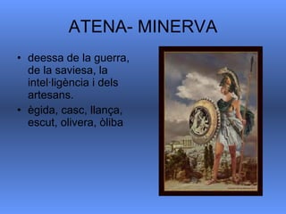 ATENA- MINERVA deessa de la guerra, de la saviesa, la intel·ligència i dels artesans.  ègida, casc, llança, escut, olivera, òliba  