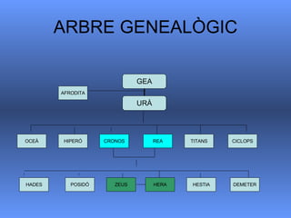 ARBRE GENEALÒGIC OCEÀ GEA URÀ AFRODITA HIPERÓ CRONOS REA TITANS CICLOPS POSIDÓ ZEUS HERA HESTIA DEMETER HADES 