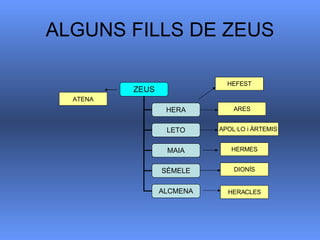 ALGUNS FILLS DE ZEUS APOL·LO i ÀRTEMIS HERMES DIONÍS HERACLES ATENA ZEUS HERA LETO MAIA SÉMELE ALCMENA ARES HEFEST 
