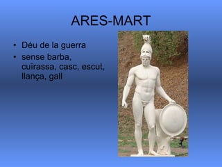 ARES-MART Déu de la guerra sense barba, cuïrassa, casc, escut, llança, gall  