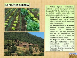 La Política Agrària Comunitària.
S’adoptà en entrar Espanya en la Unió
Europea (1986). Des d’aleshores marca
la política agrària espanyola. Les
principals conseqüències foren:
•Integració en el mercat interior
comunitàri que marca preus
màxims i mínims per als productes
més representatius.
•Els intercanvis amb la UE es van
alliberar. Espanya adoptà el
principi de preferència
comunitària, per això, reorientà
part de les importacions en
benefici de la UE, a canvi ha
accedit a un mercat ampli.
•Ha hagut de dur a terme un
esforç per modernitzar-se (més
productivitat, qualitat i
competència). Comptà amb
l’aportació dels fons estructurals,
del FEOGA i del FSE
La Política Agrària Comunitària.
S’adoptà en entrar Espanya en la Unió
Europea (1986). Des d’aleshores marca
la política agrària espanyola. Les
principals conseqüències foren:
•Integració en el mercat interior
comunitàri que marca preus
màxims i mínims per als productes
més representatius.
•Els intercanvis amb la UE es van
alliberar. Espanya adoptà el
principi de preferència
comunitària, per això, reorientà
part de les importacions en
benefici de la UE, a canvi ha
accedit a un mercat ampli.
•Ha hagut de dur a terme un
esforç per modernitzar-se (més
productivitat, qualitat i
competència). Comptà amb
l’aportació dels fons estructurals,
del FEOGA i del FSE
LA POLÍTICA AGRÀRIALA POLÍTICA AGRÀRIALA POLÍTICA AGRÀRIALA POLÍTICA AGRÀRIA
 