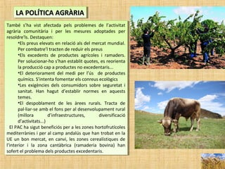 També s’ha vist afectada pels problemes de l’activitat
agrària comunitària i per les mesures adoptades per
resoldre'ls. Destaquen:
•Els preus elevats en relació als del mercat mundial.
Per combatre’l tracten de reduir els preus
•Els excedents de productes agrícoles i ramaders.
Per solucionar-ho s’han establit quotes, es reorienta
la producció cap a productes no excedentaris...
•El deteriorament del medi per l’ús de productes
químics. S’intenta fomentar els conreus ecològics
•Les exigències dels consumidors sobre seguretat i
sanitat. Han hagut d’establir normes en aquests
temes.
•El despoblament de les àrees rurals. Tracta de
pal·liar-se amb el fons per al desenvolupament rural
(millora d’infraestructures, diversificació
d’activitats...)
El PAC ha sigut beneficiós per a les zones hortofrutícoles
mediterrànies i per al camp andalús que han trobat en la
UE un bon mercat, en canvi, les zones cerealístiques de
l’interior i la zona cantàbrica (ramaderia bovina) han
sofert el problema dels productes excedentaris.
També s’ha vist afectada pels problemes de l’activitat
agrària comunitària i per les mesures adoptades per
resoldre'ls. Destaquen:
•Els preus elevats en relació als del mercat mundial.
Per combatre’l tracten de reduir els preus
•Els excedents de productes agrícoles i ramaders.
Per solucionar-ho s’han establit quotes, es reorienta
la producció cap a productes no excedentaris...
•El deteriorament del medi per l’ús de productes
químics. S’intenta fomentar els conreus ecològics
•Les exigències dels consumidors sobre seguretat i
sanitat. Han hagut d’establir normes en aquests
temes.
•El despoblament de les àrees rurals. Tracta de
pal·liar-se amb el fons per al desenvolupament rural
(millora d’infraestructures, diversificació
d’activitats...)
El PAC ha sigut beneficiós per a les zones hortofrutícoles
mediterrànies i per al camp andalús que han trobat en la
UE un bon mercat, en canvi, les zones cerealístiques de
l’interior i la zona cantàbrica (ramaderia bovina) han
sofert el problema dels productes excedentaris.
LA POLÍTICA AGRÀRIALA POLÍTICA AGRÀRIALA POLÍTICA AGRÀRIALA POLÍTICA AGRÀRIA
 