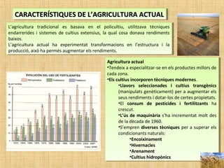 CARACTERÍSTIQUES DE L’AGRICULTURA ACTUALCARACTERÍSTIQUES DE L’AGRICULTURA ACTUALCARACTERÍSTIQUES DE L’AGRICULTURA ACTUALCARACTERÍSTIQUES DE L’AGRICULTURA ACTUAL
L’agricultura tradicional es basava en el policultiu, utilitzava tècniques
endarrerides i sistemes de cultius extensius, la qual cosa donava rendiments
baixos.
L’agricultura actual ha experimentat transformacions en l’estructura i la
producció, això ha permés augmentar els rendiments.
L’agricultura tradicional es basava en el policultiu, utilitzava tècniques
endarrerides i sistemes de cultius extensius, la qual cosa donava rendiments
baixos.
L’agricultura actual ha experimentat transformacions en l’estructura i la
producció, això ha permés augmentar els rendiments.
Agricultura actual
•Tendeix a especialitzar-se en els productes millors de
cada zona.
•Els cultius incorporen tècniques modernes.
•Llavors seleccionades i cultius transgènics
(manipulats genèticament) per a augmentar els
seus rendiments i dotar-los de certes propietats.
•El consum de pesticides i fertilitzants ha
crescut.
•L’ús de maquinària s’ha incrementat molt des
de la dècada de 1960.
•S’empren diverses tècniques per a superar els
condicionants naturals:
•Encoixinament
•Hivernacles
•Arenament
•Cultius hidropònics
Agricultura actual
•Tendeix a especialitzar-se en els productes millors de
cada zona.
•Els cultius incorporen tècniques modernes.
•Llavors seleccionades i cultius transgènics
(manipulats genèticament) per a augmentar els
seus rendiments i dotar-los de certes propietats.
•El consum de pesticides i fertilitzants ha
crescut.
•L’ús de maquinària s’ha incrementat molt des
de la dècada de 1960.
•S’empren diverses tècniques per a superar els
condicionants naturals:
•Encoixinament
•Hivernacles
•Arenament
•Cultius hidropònics
 
