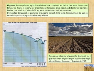 El guaret és una pràctica agrícola tradicional que consisteix en deixar descansar la terra un
temps. Cal llaurar el terreny per a facilitar que l’aigua de pluja siga absorbida i llevar les males
herbes, que serviran d’adob al sòl. Aquestes terres roten amb les cultivades.
L’avantatge del guaret és permetre el descans natural de la terra, l’inconvenient és que es
redueix la producció agrícola del terreny afectat.
El guaret és una pràctica agrícola tradicional que consisteix en deixar descansar la terra un
temps. Cal llaurar el terreny per a facilitar que l’aigua de pluja siga absorbida i llevar les males
herbes, que serviran d’adob al sòl. Aquestes terres roten amb les cultivades.
L’avantatge del guaret és permetre el descans natural de la terra, l’inconvenient és que es
redueix la producció agrícola del terreny afectat.
Com es pot observar el guaret ha disminuït, tot i
que els darrers anys ha tingut fluctuacions degut
a les polítiques de quotes i de preus del PAC.
Com es pot observar el guaret ha disminuït, tot i
que els darrers anys ha tingut fluctuacions degut
a les polítiques de quotes i de preus del PAC.
 